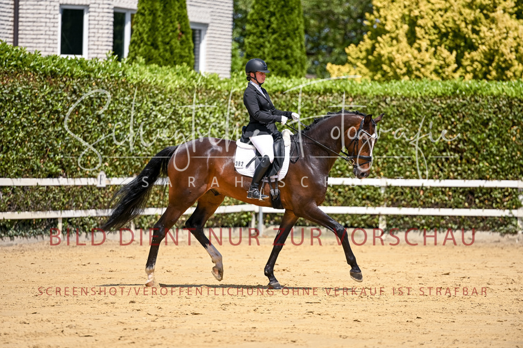 Schugtsche-Aluta25-49.Dressurpferdeprf.A-129 | Schugtsche Fotografie - Realisiert mit Pictrs.com