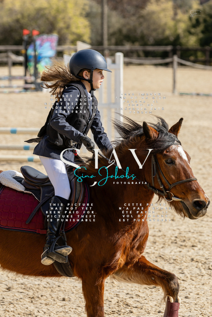 IMG_4399 | s-jay-photography - Realisiert mit Pictrs.com