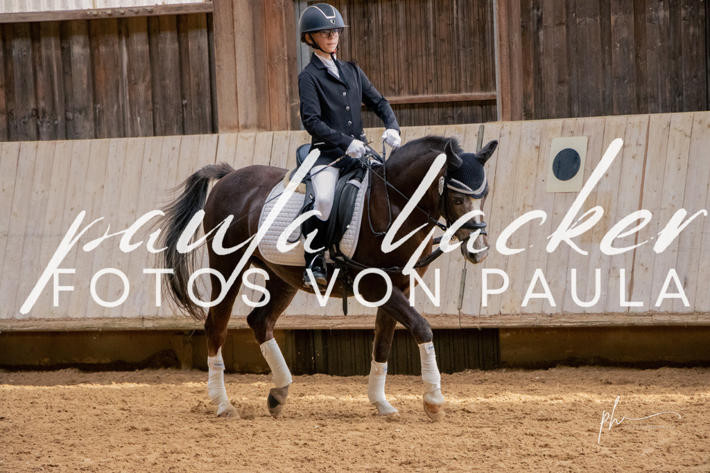 IMG_3743 | Erleben Sie dynamische Sport- und emotionale Tierfotografie in Süddeutschland mit Fotos von Paula. Spezialisiert auf Pferde- und Hundefotografie sowie Sportevents. Kontaktieren Sie mich für einzigartige und ausdrucksstarke Bilder Ihrer besonderen Momente. - Realisiert mit Pictrs.com