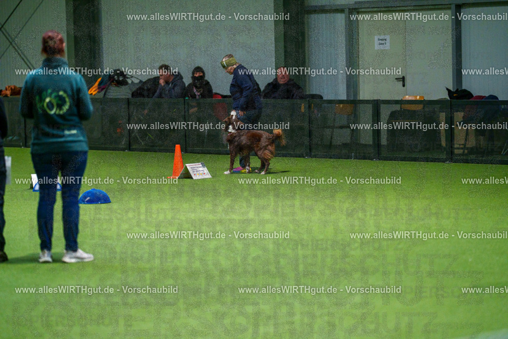 7R504951 | Professionelle Tierfotografie in Mönchengladbach von Daniel Wirth (allesWIRTHgut). Liebevolle & natürliche Bilder von Hunden & Katzen für unvergessliche Erinnerungen.