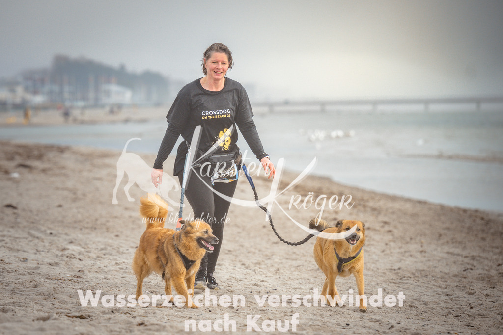 1115_ZZ97478 | kk-dogfotos