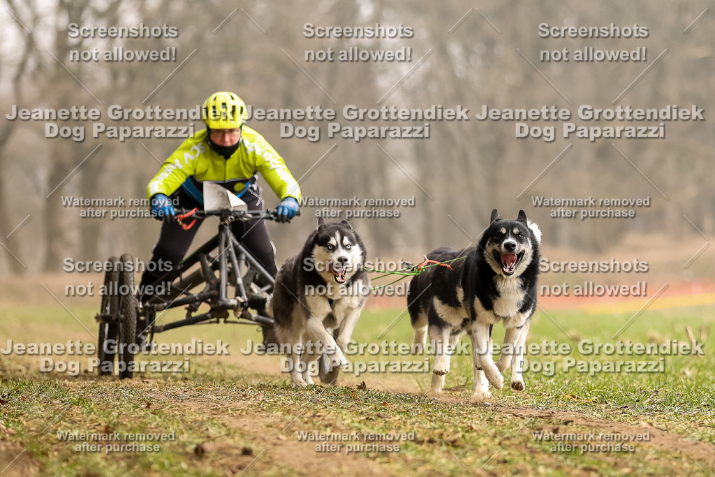 Dog Paparazzi - Plate 2026-105 | Dog Paparazzi Jeanette Grottendiek Fotografie & Videografie - Realisiert mit Pictrs.com