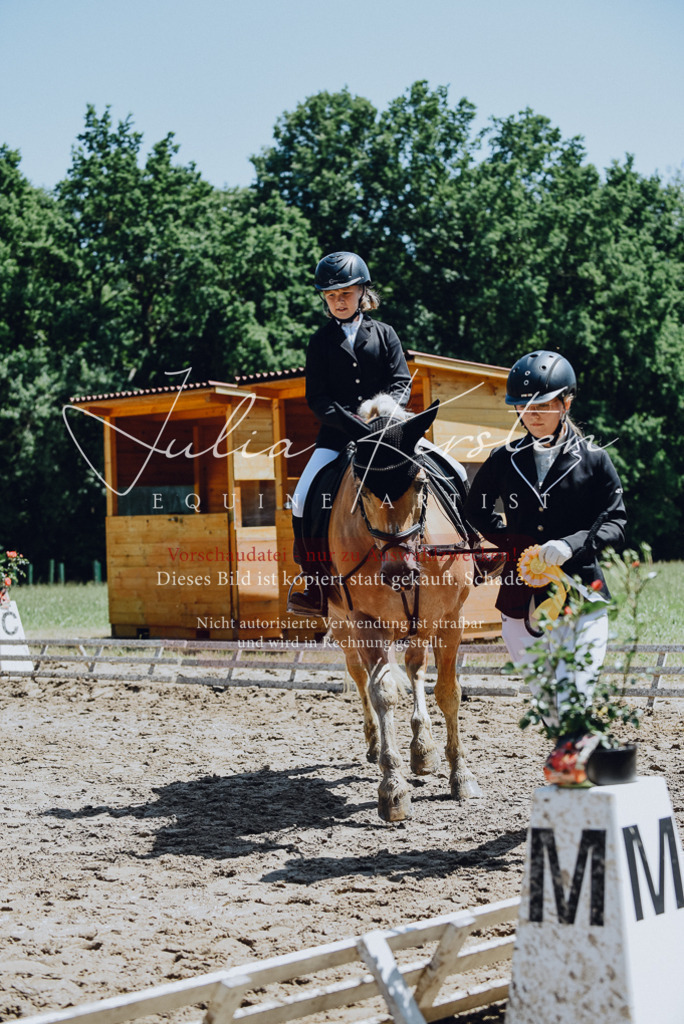 DSC_2353 | Pferde- und Turnierfotografie in Westsachsen. Pferdeportraits, Auftragszeichnungen und intuitive Kunst.