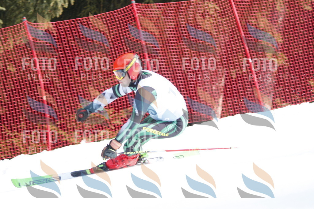 D7377 | holidayphoto