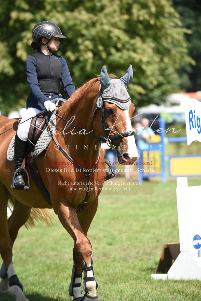 DSC_0074 | Pferde- und Turnierfotografie in Westsachsen. Pferdeportraits, Auftragszeichnungen und intuitive Kunst.