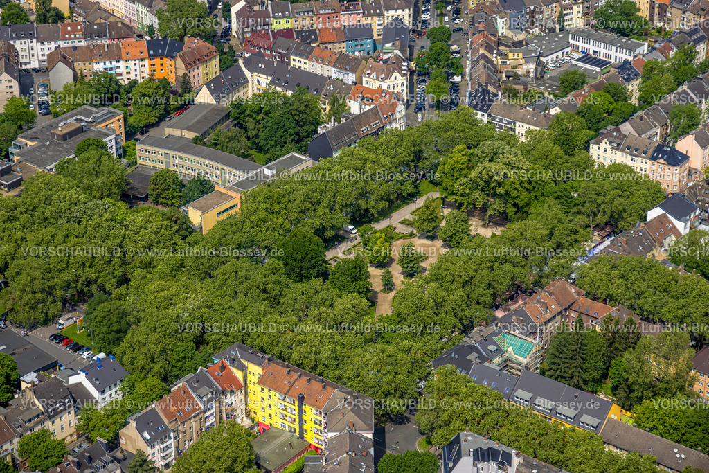 Dortmund240507248 | Luftbild, Wohngebiet und grüne Lunge Nordmarkt mit Bäumen und Gartenanlagen, Grundschule Nordmarkt, Nordmarkt, Dortmund, Ruhrgebiet, Nordrhein-Westfalen, Deutschland