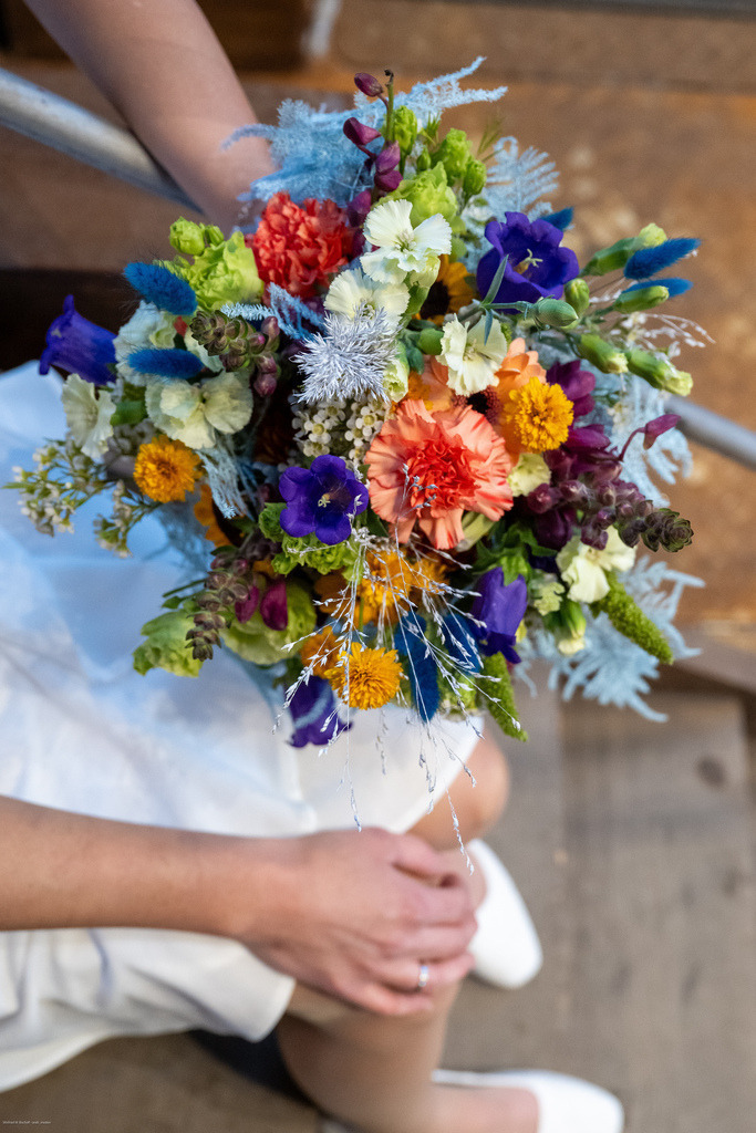 WWB_7672 | <Fotografie> <Video> <Film> <Winfried Bischoff> - Realisiert mit Pictrs.com