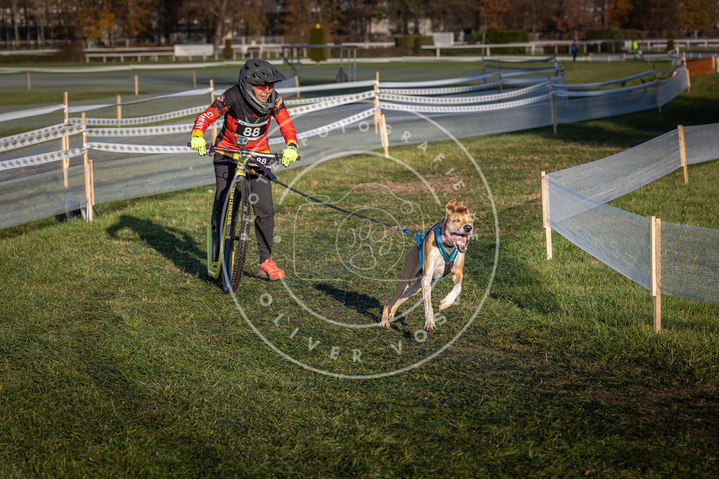 CaniXpix_0L8A3852 | Hundefotografie, Tierfotograf, Pfotenfotografie, Fotoshooting Hund, Hunde Portrait, Hundesport, Hundeportraits, Heideshooting, Hunde, Sportfotograf, Hundefotograf, Turnierhundsport, THS,  - Realisiert mit Pictrs.com
