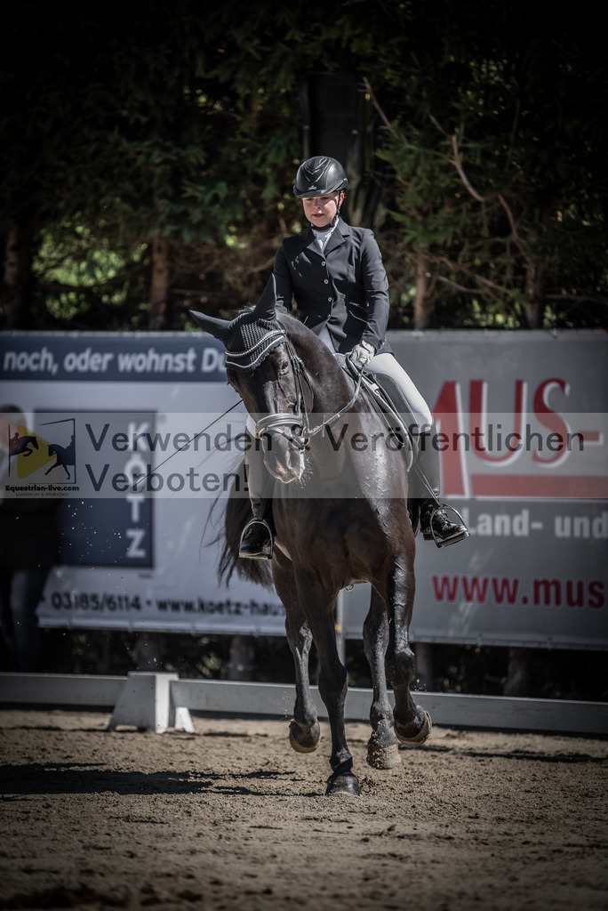 DSC_0205 | equestrian-live-com
