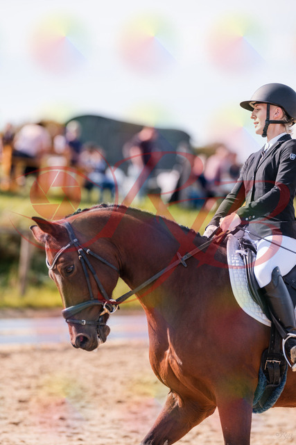 2026_10_03_Siefer-Hof_130827_Z81_60768217 | Professionelle Reitsport-, Turnier- und Eventfotografie von Robert Broda. Galerien mit ausgewählten und bearbeiteten Bildern direkt online ansehen und bestellen.