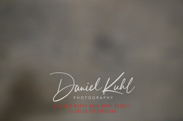 IMG_0609 | Turnierfotos kaufen im Webshop von Daniel Kuhl Photography – entdecke professionelle Reitsportfotos aus Turnieren & Events. Hochwertige Turnierbilder online bestellen & sichern. Jetzt Fotos von Reitsportturnieren kaufen!