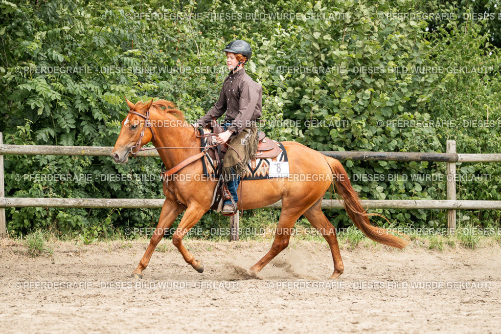 DSC01366 | Pferdegrafie