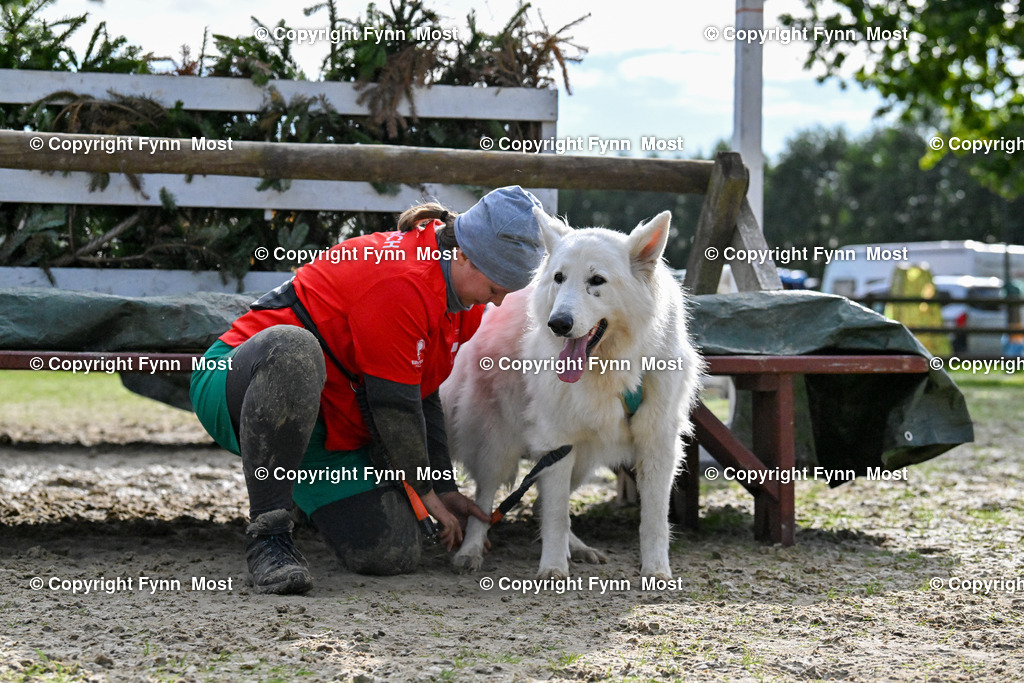 DSC_6280 | Hallo und herzlich Willkommen auf meiner Shop-Seite Fynn Most.

Ich wünsche Dir viel Spaß beim stöbern durch die Bilder, wenn Du Fragen hast oder Bilder vermisst, kannst du mir gerne eine Nachricht schreiben. - Realisiert mit Pictrs.com