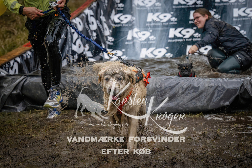 1234_ZZ90247 | kk-dogfotos