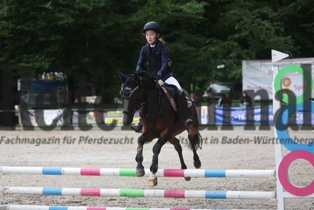 Ichenheim_2024_Prfg.Nr.26_Stilspring-WB_60cm_Mira Alshehab (9) | Alle Fotos der Reiterjournal Fotografin Doris Matthaes im Reiterjournal Online-Fotoshop. - Realisiert mit Pictrs.com