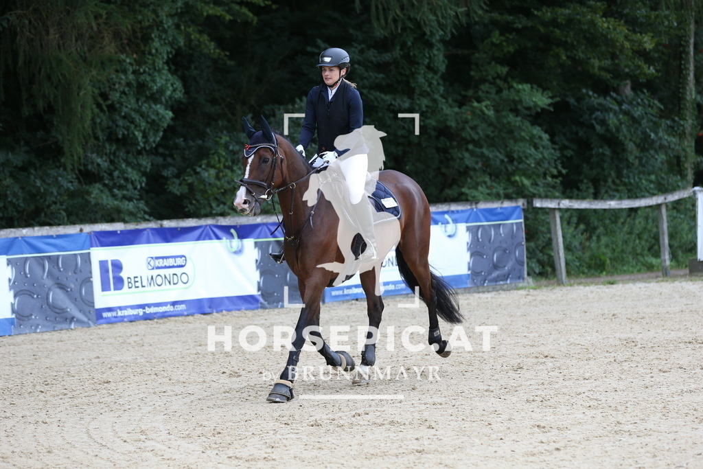 DL2Q4597 | Willkommen bei Brunnmayr - Design & Fotografie – Ihrem Spezialisten für Reitturniere und Pferdeveranstaltungen in Oberösterreich, Salzburg und Bayern! Seit über 17 Jahren sind wir leidenschaftlich dabei.