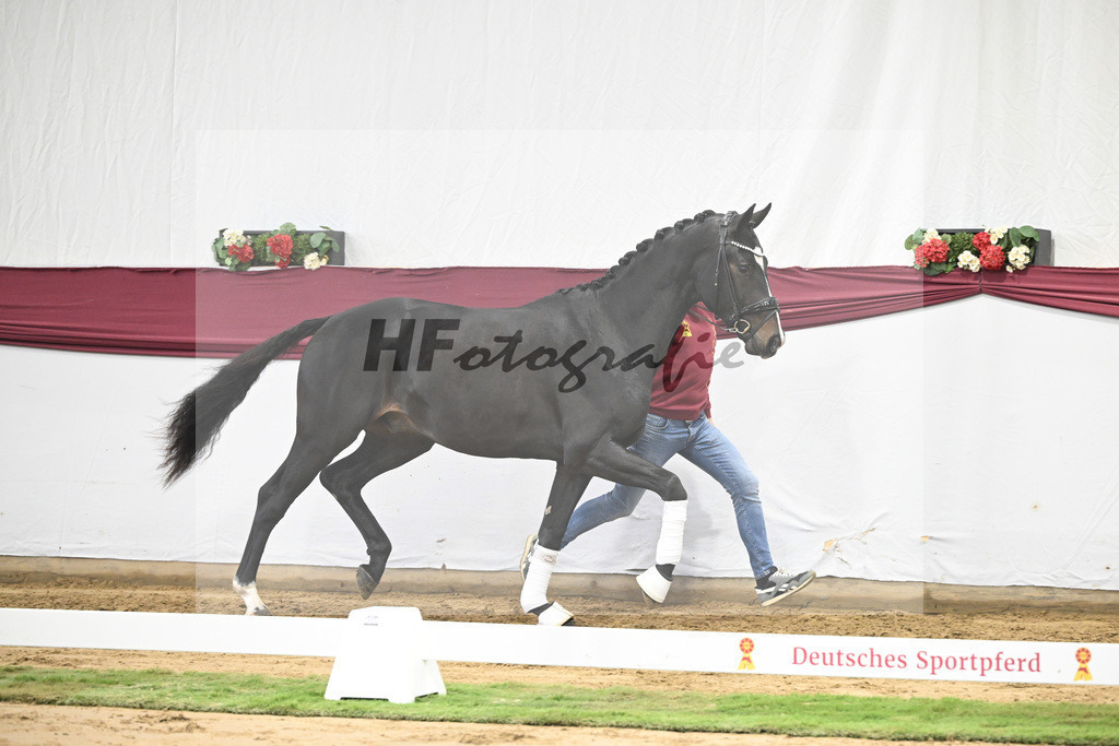 Kat-Nr. 18 Escaneno x Fuerstenball_Stefan Holtwiesche_47250484 | hf-fotografie - Realisiert mit Pictrs.com