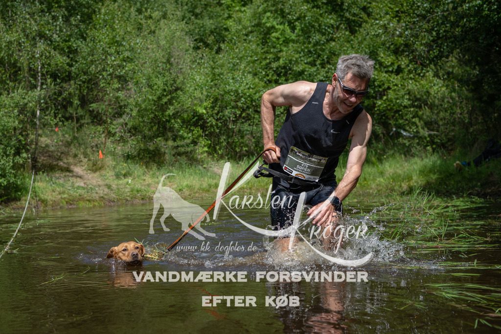 1201DKK991529 | kk-dogfotos