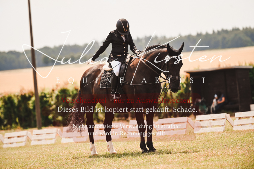 DSC_6392 | Pferde- und Turnierfotografie in Westsachsen. Pferdeportraits, Auftragszeichnungen und intuitive Kunst.