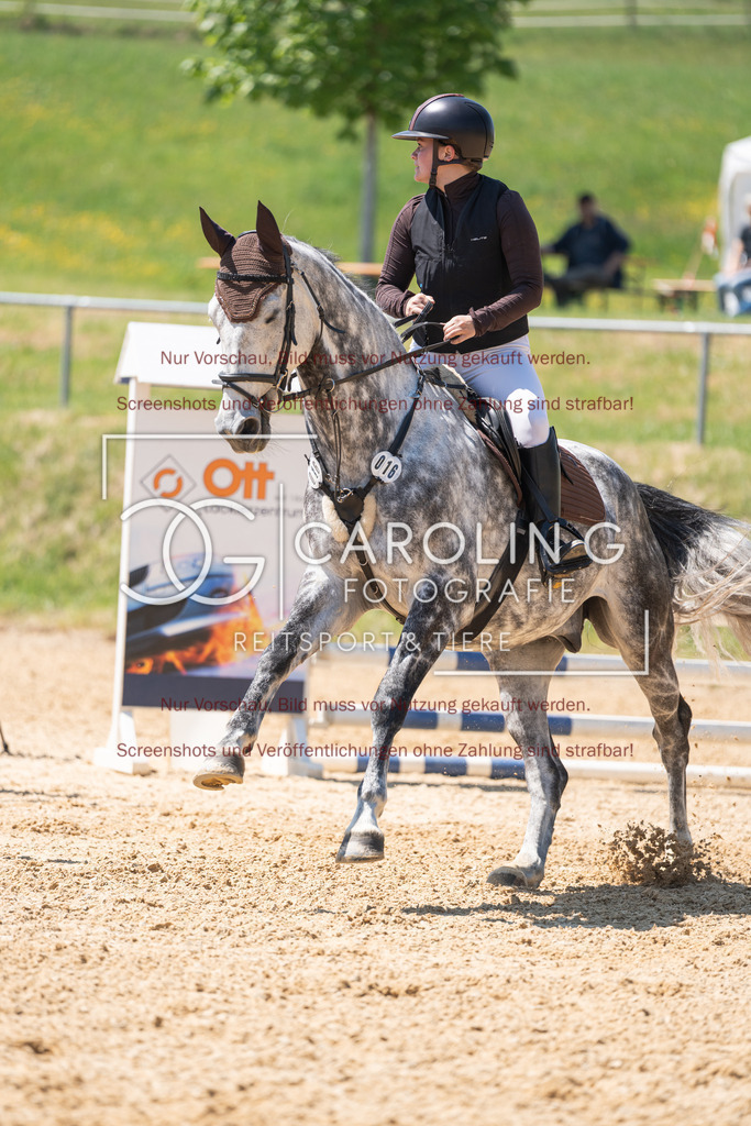 DSC04518 | Springturnier_Ehingen_Mai_2026, Emma_Kunz, Hicksteads_Catchy