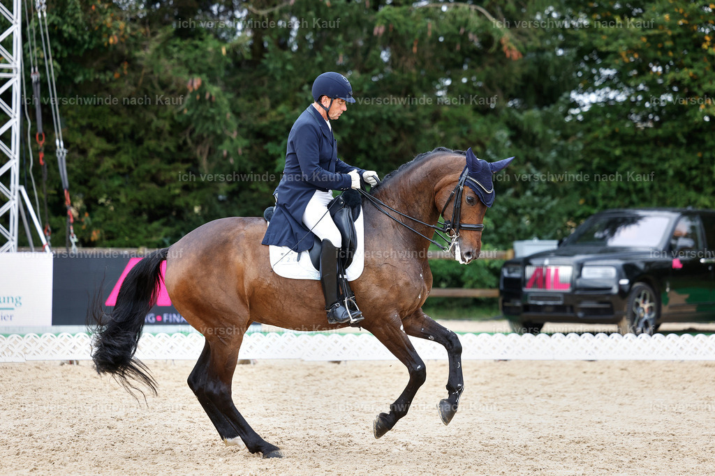 12-226-DRESSUR  S___  -StoibPH-5280 | working equitationturnier fotograf videograf stoibphotography marixx film working equitation deutschland reitsport turnierfotografie eventfotografie equestrian events