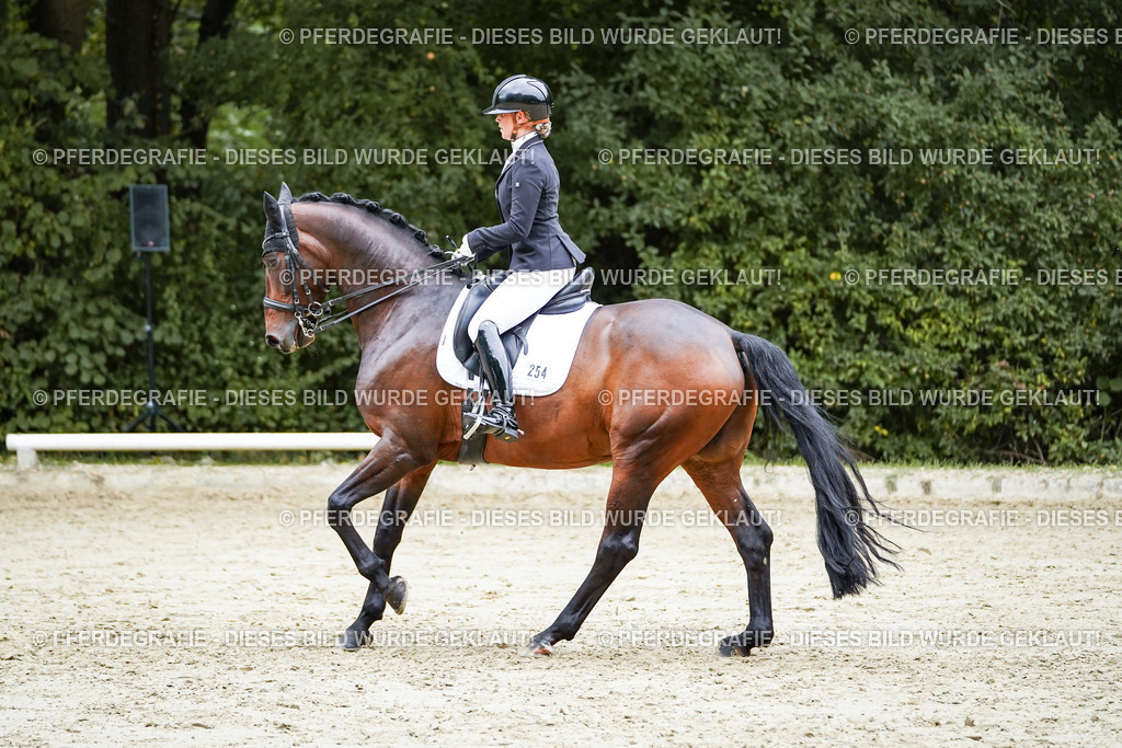 DSC09769 | Pferdegrafie