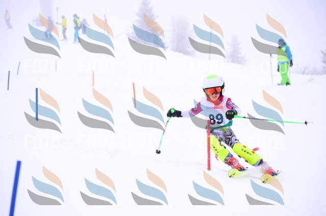 A4375 | holidayphoto