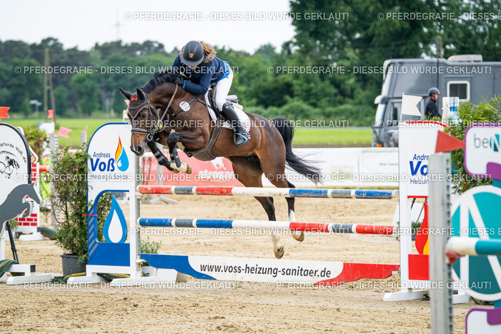 DSC05966 | Pferdegrafie