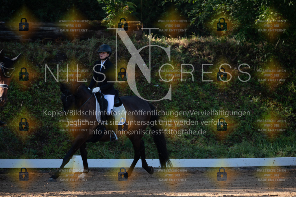 DSC_7774 | Nils Cress - Fotografie - Realisiert mit Pictrs.com