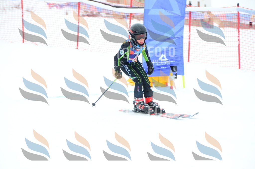 DSC_1680 | holidayphoto