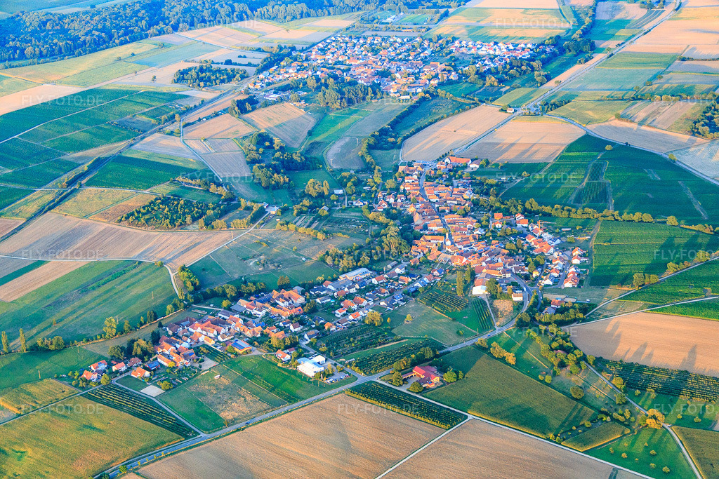 Luftbild: Ortsansicht von Westen in Oberhausen im Bundesland Rheinland-Pfalz in Deutschland. Foto: IMG_084213.jpg vom 29.08.2015 durch Werner Riehm/FLY-FOTO.de