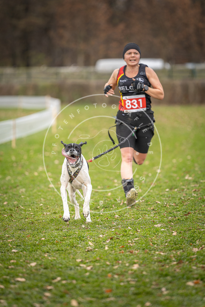 CaniXpix_DV3A6459 | Hundefotografie, Tierfotograf, Pfotenfotografie, Fotoshooting Hund, Hunde Portrait, Hundesport, Hundeportraits, Heideshooting, Hunde, Sportfotograf, Hundefotograf, Turnierhundsport, THS,  - Realisiert mit Pictrs.com