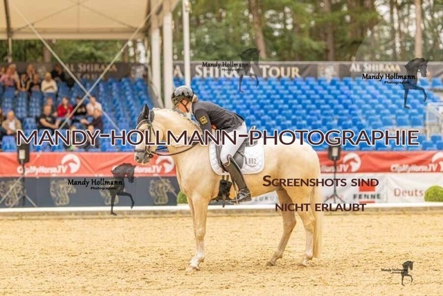 28-8-26 5j DRE-806 | mandyhollmannphotographie