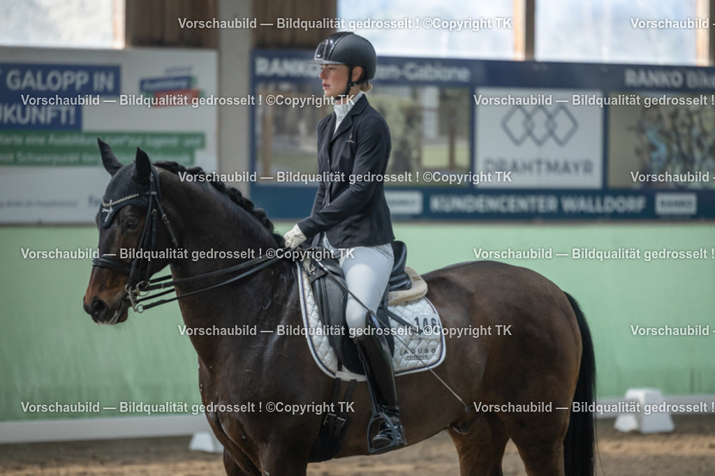 _D5A4500 | Emotionale Pferde- & People-Fotografie rund um Heidelberg, Leimen & Umgebung. Natürliche Fotos von Pferd, Mensch & Familie. Jetzt Termin sichern!