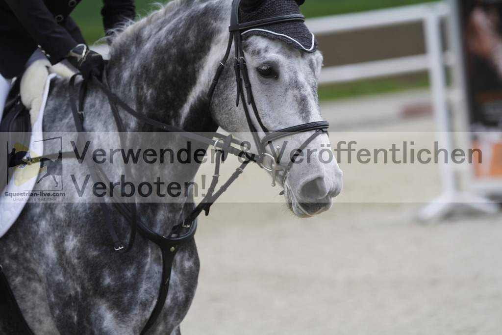 _MG_1859 | equestrian-live-com