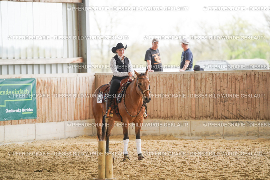 DSC05048 | Pferdegrafie