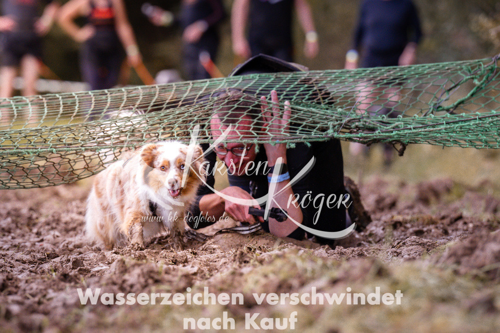 1231_ZZ94722 | kk-dogfotos