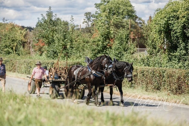 7V6A1603 | natalia-nirschl-photography