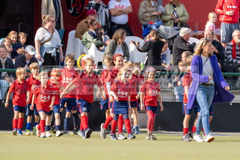 HK_20240914_106174 | 2. Bundesliga Herren Düsseldorfer HC - DSD Düsseldorf am 14.9.2024 Düsseldorfer HC , DHC, Düsseldorf ,