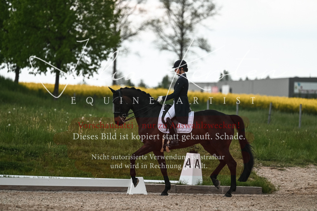 20230514_JK-Röhrsdorf-21-309 | Pferde- und Turnierfotografie in Westsachsen. Pferdeportraits, Auftragszeichnungen und intuitive Kunst.