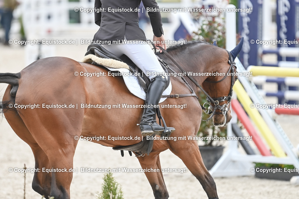 20230514_CCI4_Springen_0095 | equistock