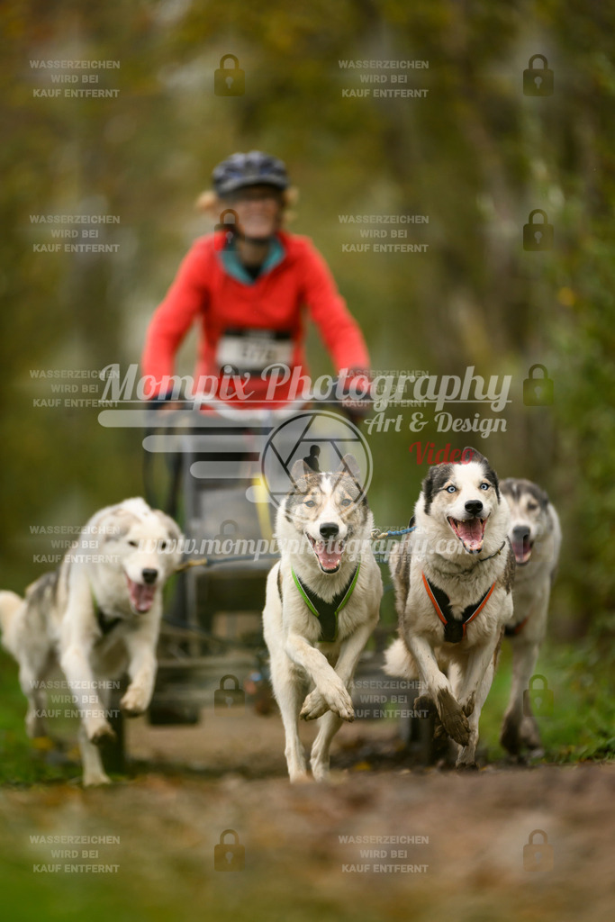 MompixPhotography_20TSB_E6_Kart-8 | PayLife