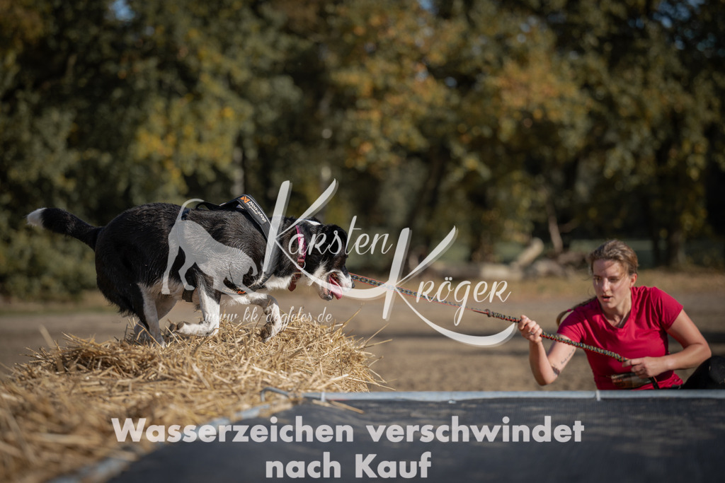 1137_ZZ92254 | kk-dogfotos