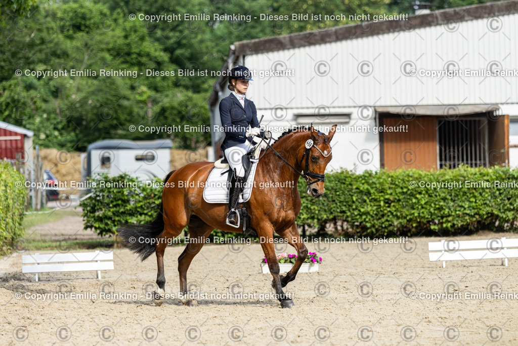 CL5A6210-2 | Emilia Reinking Fotografie - Realisiert mit Pictrs.com