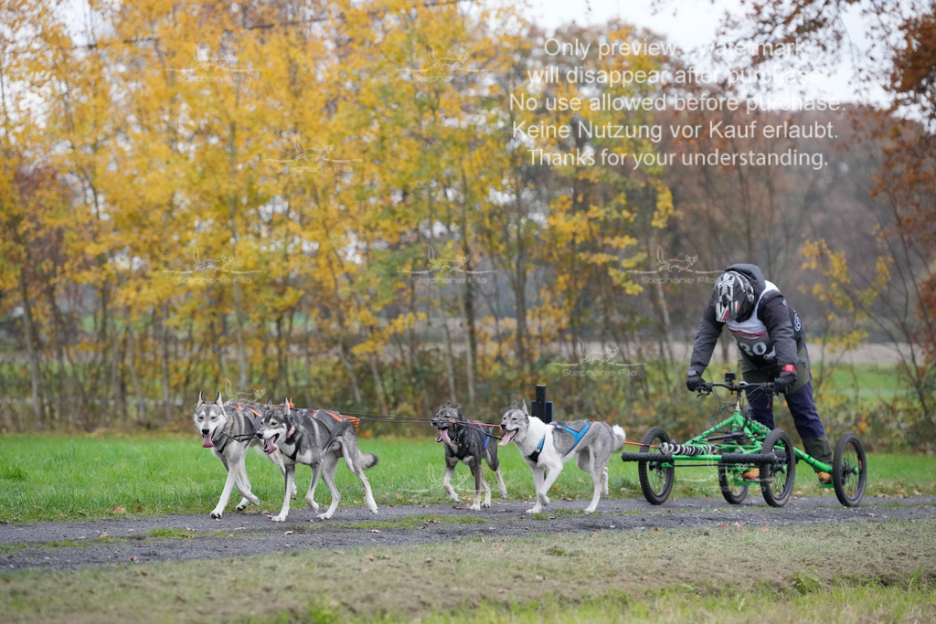 Visbeck_Sa_D4_6-32 | stephaniefillaphotographie - Realisiert mit Pictrs.com