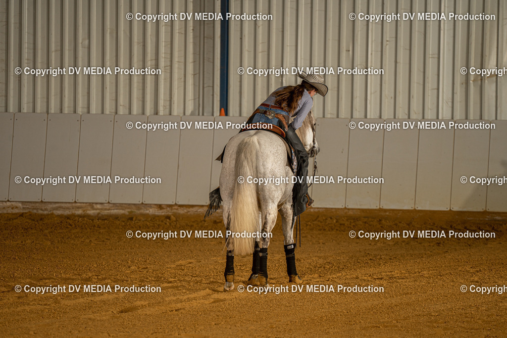 MIT00570 | dv-media-shop - Realisiert mit Pictrs.com