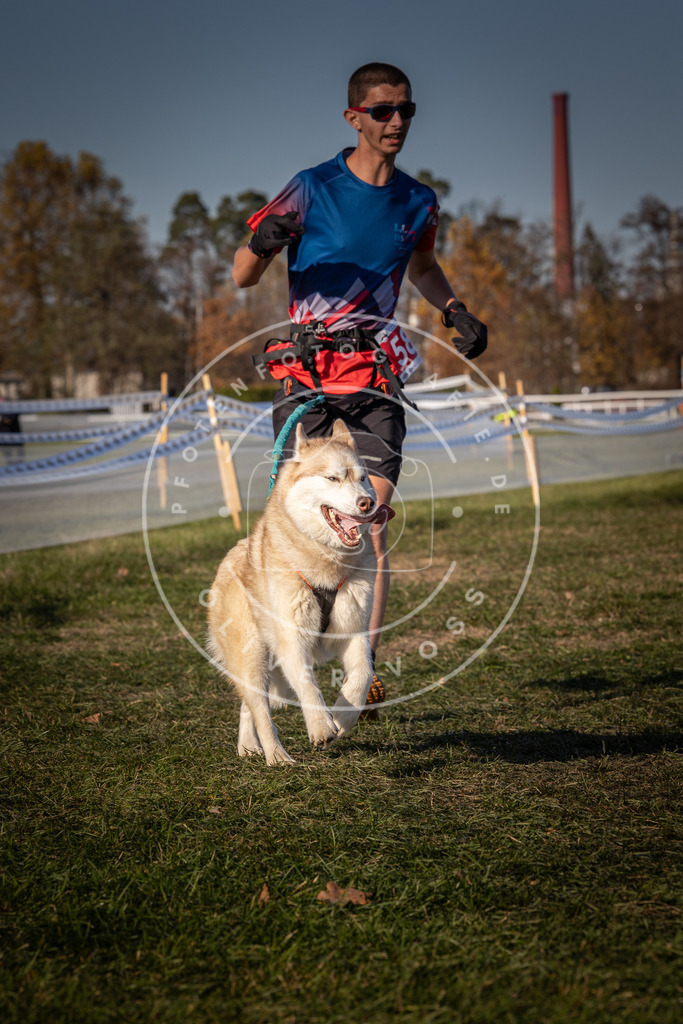 CaniXpix_0L8A8235 | Hundefotografie, Tierfotograf, Pfotenfotografie, Fotoshooting Hund, Hunde Portrait, Hundesport, Hundeportraits, Heideshooting, Hunde, Sportfotograf, Hundefotograf, Turnierhundsport, THS,  - Realisiert mit Pictrs.com