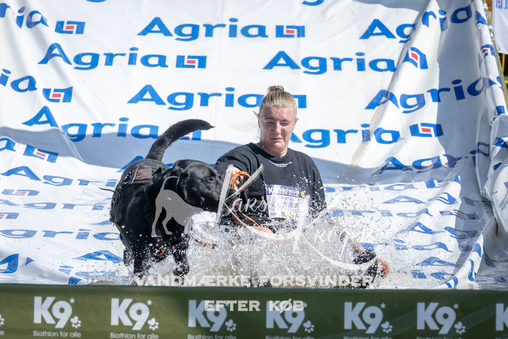 1146_ZZ93993 | kk-dogfotos