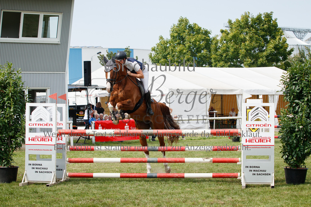 IMG_3457 | P. Berger Fotografie - Realisiert mit Pictrs.com