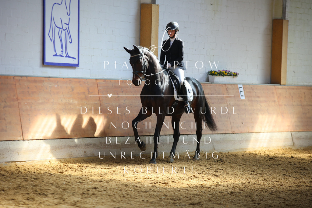 IMGT7071 | pl-fotografie